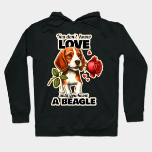 Beagle Valentine's day Hoodie